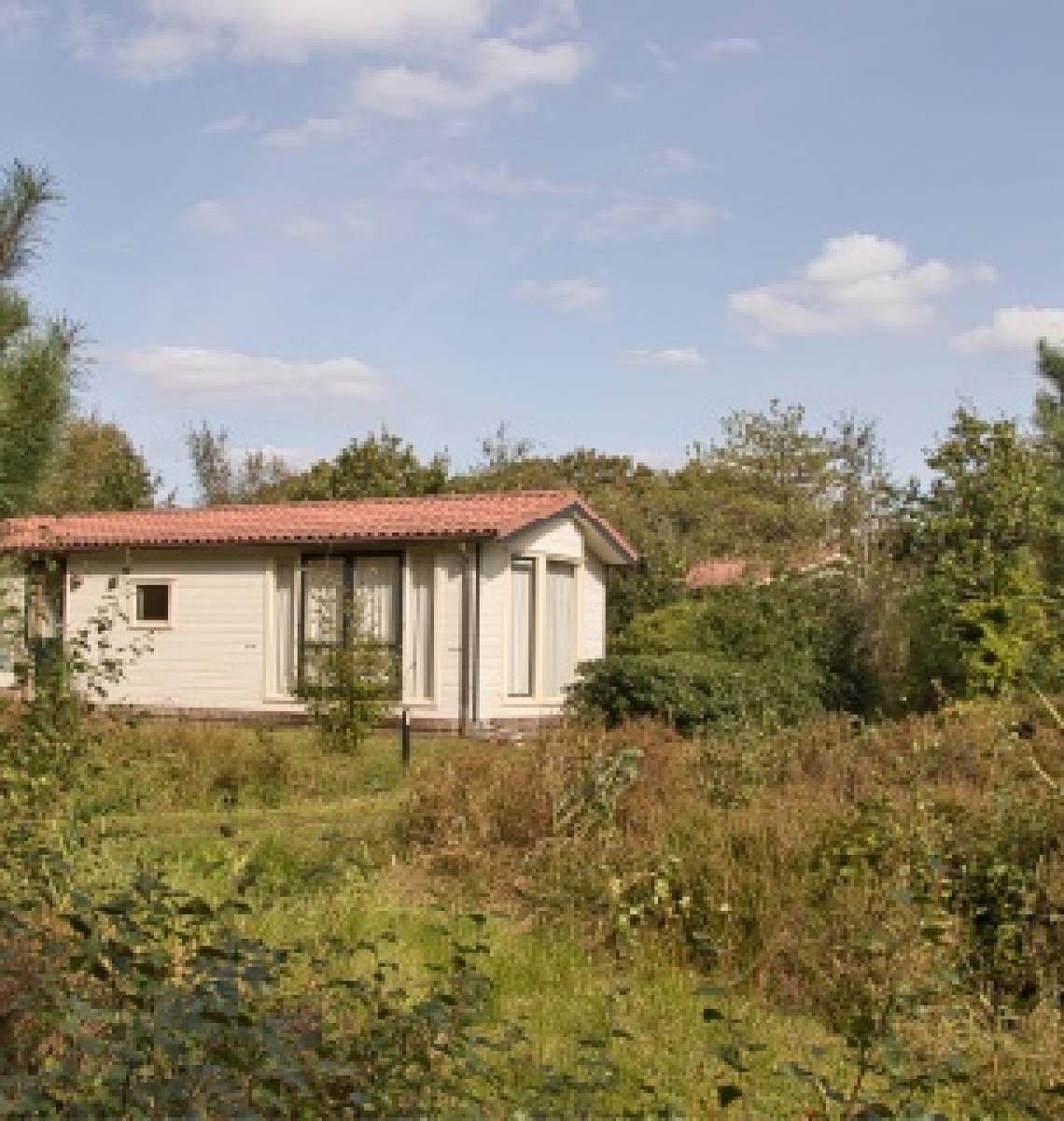 Crème chalet met rode pannen tussen dennen en hoog gras