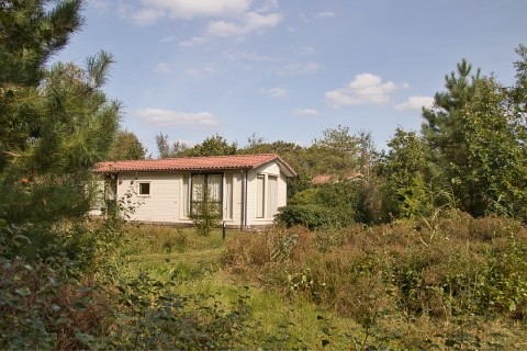 Crème chalet met rode pannen tussen dennen en hoog gras