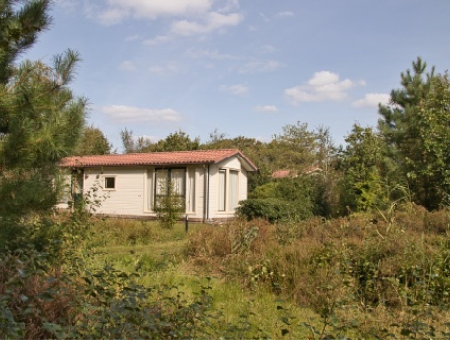Crème chalet met rode pannen tussen dennen en hoog gras