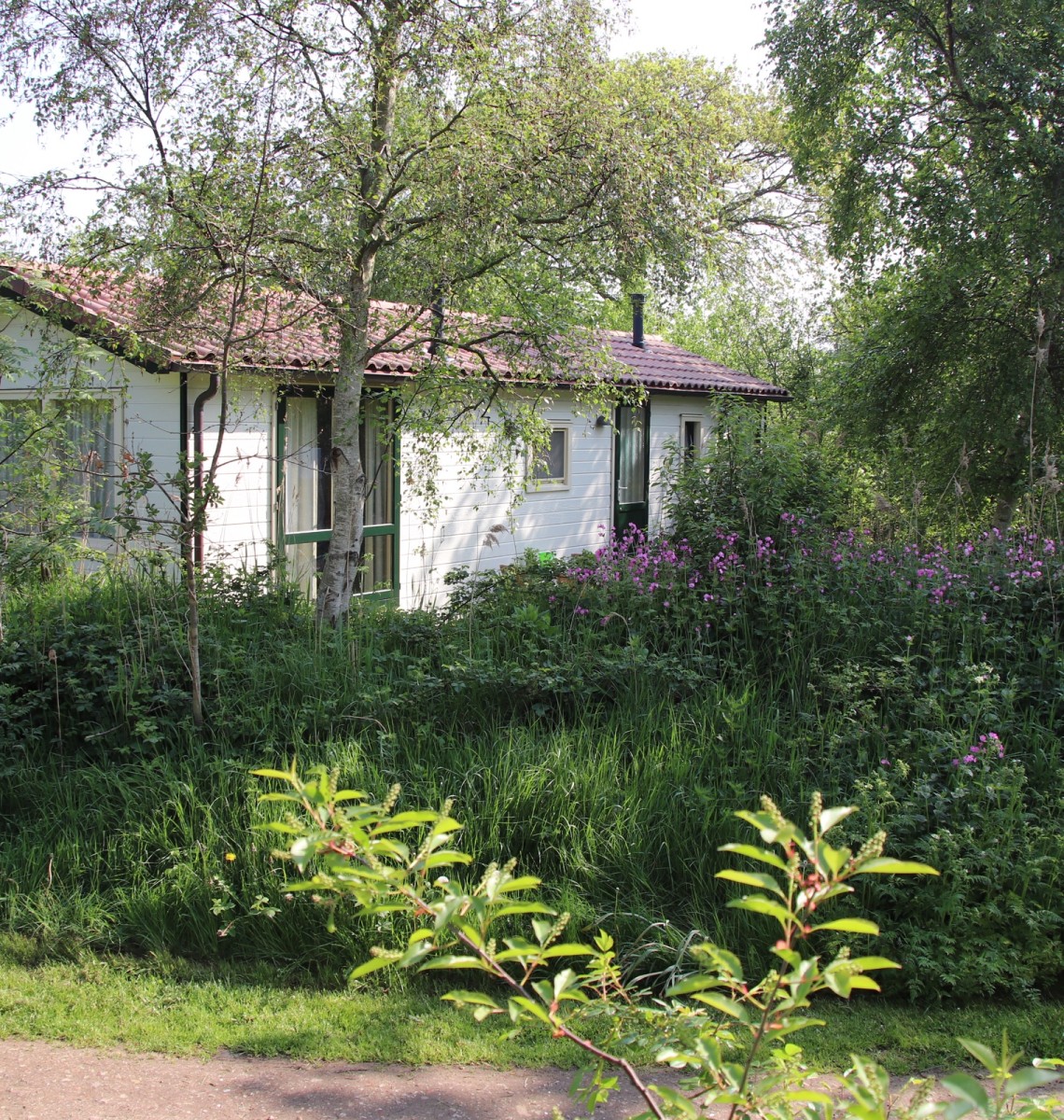 Wit chalet met groene kozijnen tussen berken