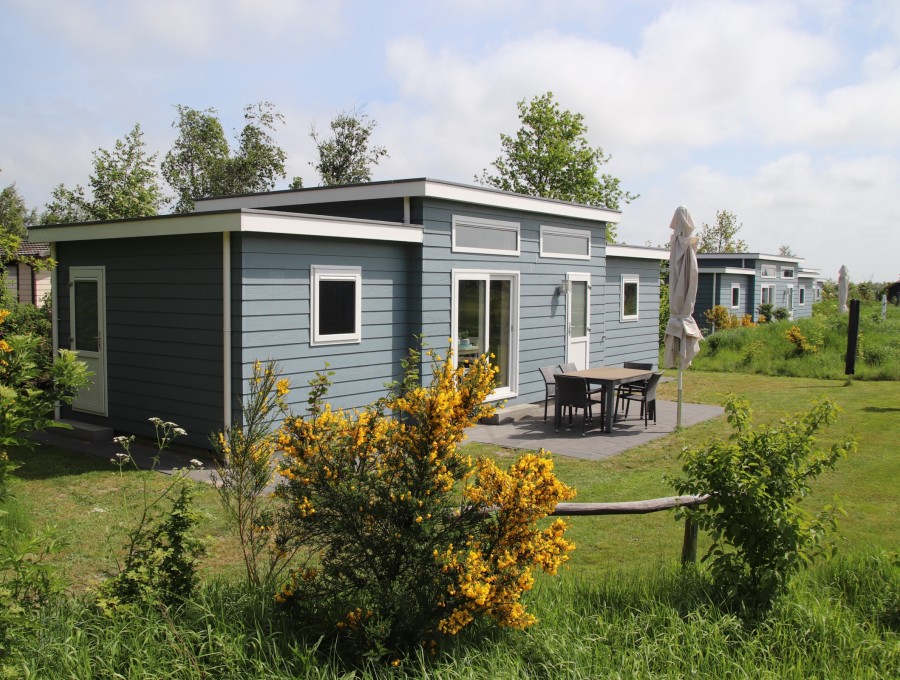 Grijs-blauw chalet met terras, tuinset en bloeiende brem ervoor