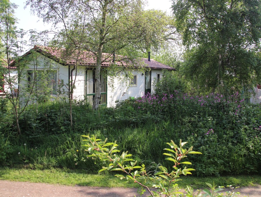 Wit chalet met groene kozijnen tussen berken