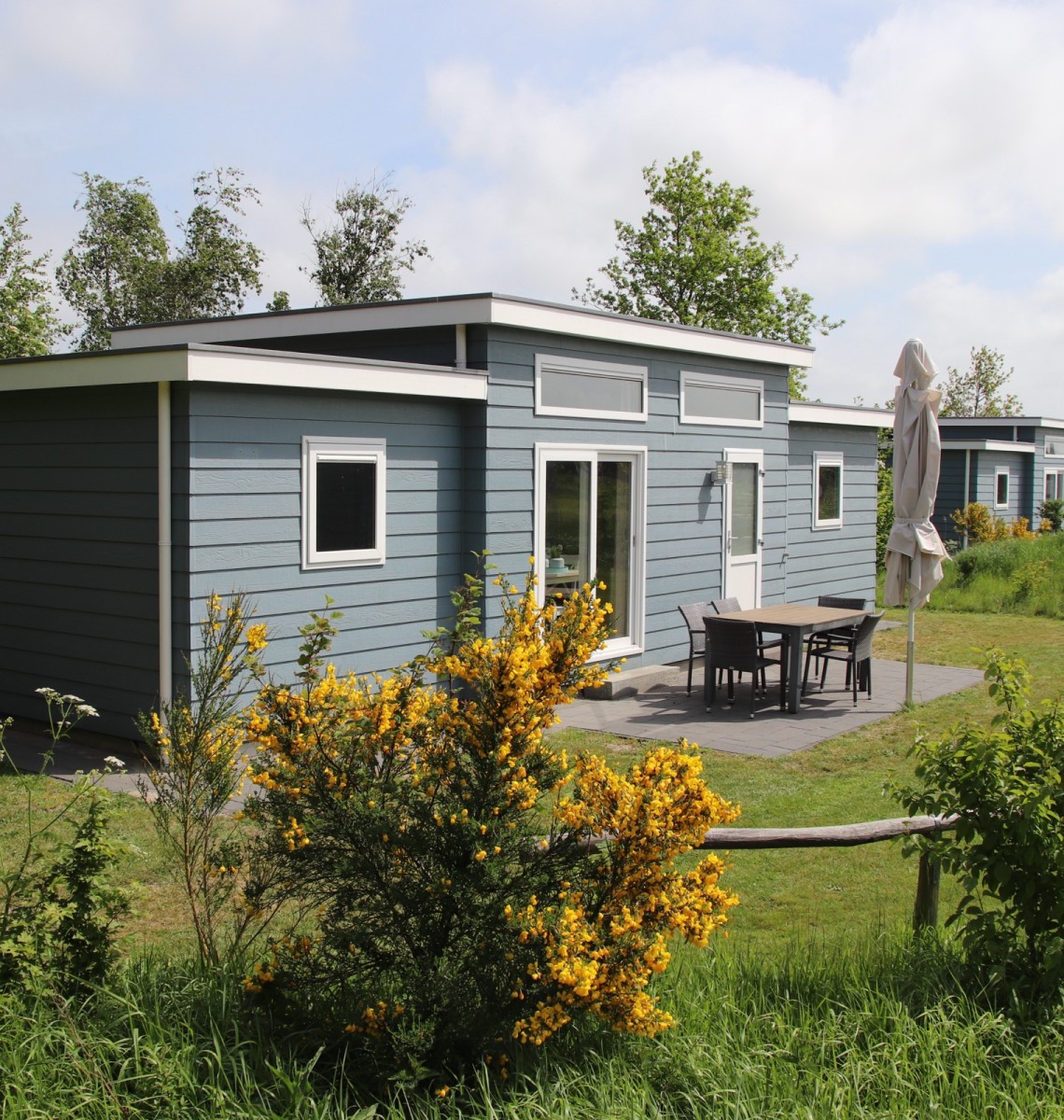 Grijs-blauw chalet met terras, tuinset en bloeiende brem ervoor
