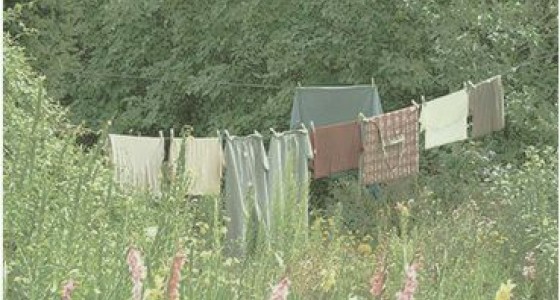 Was aan de droogmolen in de tuin