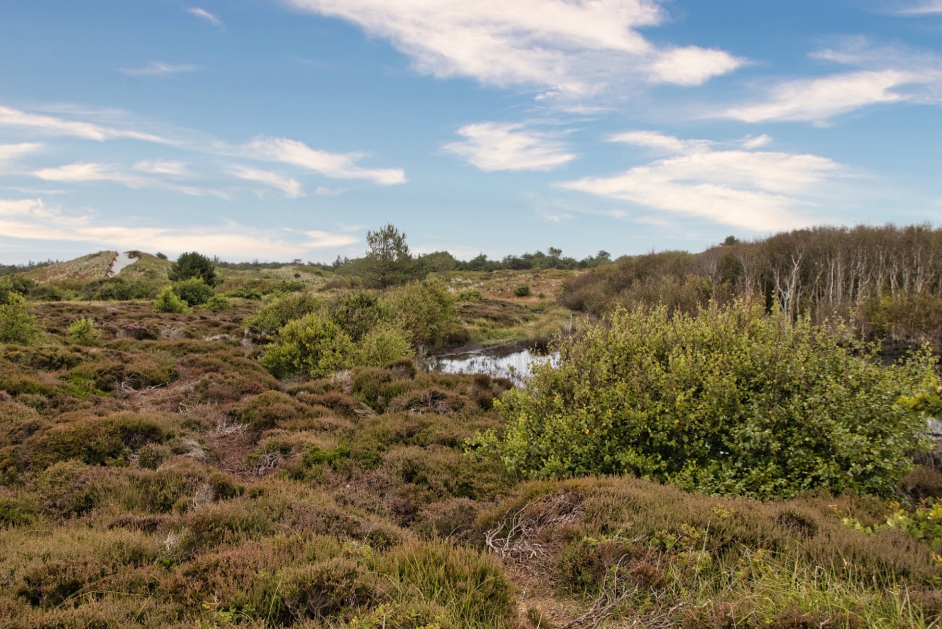 Duinlandschap bij de Bremakker